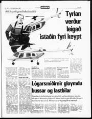 Síða 3