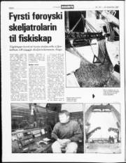Síða 8
