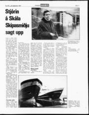 Síða 11