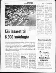 Síða 12