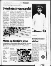 Síða 15