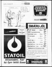 Síða 17