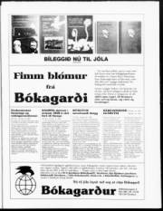 Síða 3