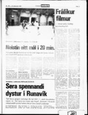 Síða 17