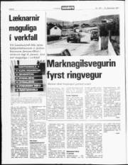 Síða 2