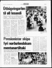 Síða 3