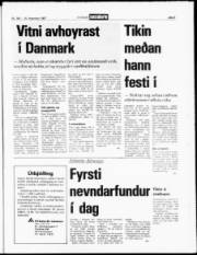 Síða 5