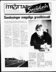 Síða 12