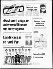 Síða 1