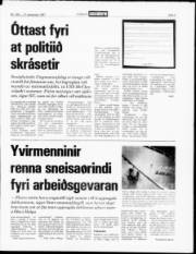 Síða 3