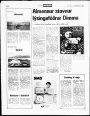 Síða 8