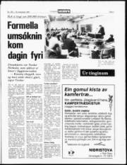 Síða 3