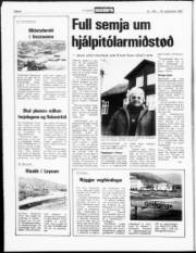 Síða 8