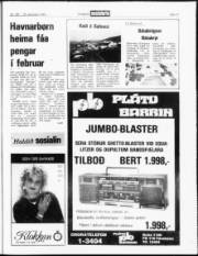 Síða 17