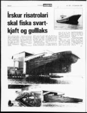 Síða 22