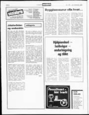 Síða 6