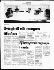 Síða 12