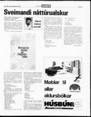 Síða 13