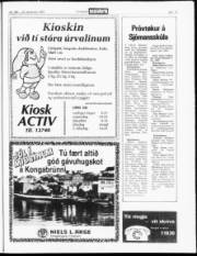 Síða 19