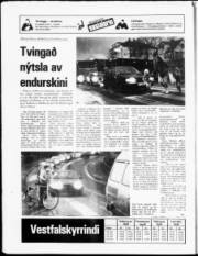 Síða 24