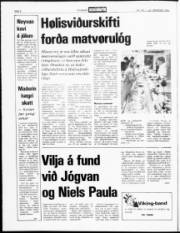 Síða 2