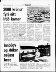 Síða 3