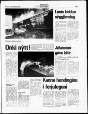Síða 5
