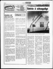 Síða 6