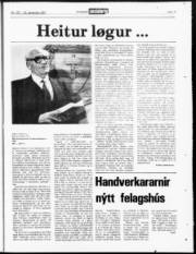 Síða 19