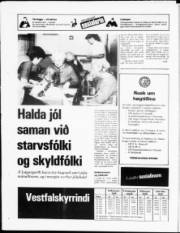 Síða 20
