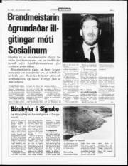 Síða 3