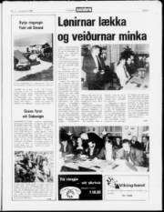 Síða 3