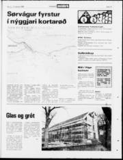 Síða 15