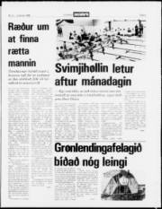 Síða 3