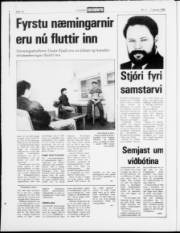 Síða 10
