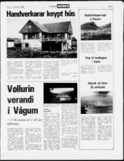 Síða 3