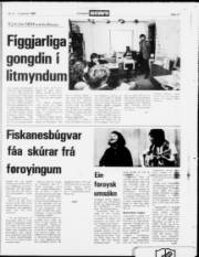 Síða 19