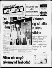 Síða 1