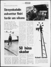 Síða 2