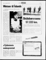 Síða 11