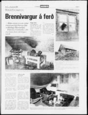 Síða 3