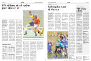 Síða 12