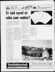 Síða 20