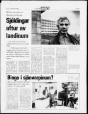Síða 3