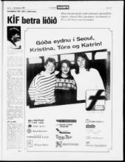 Síða 17