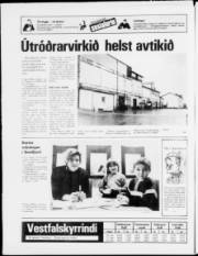 Síða 24