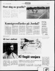 Síða 15