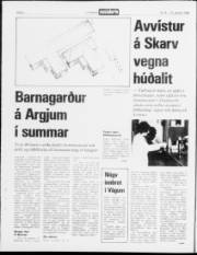 Síða 2