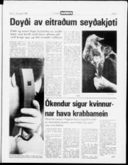 Síða 3