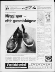 Síða 24